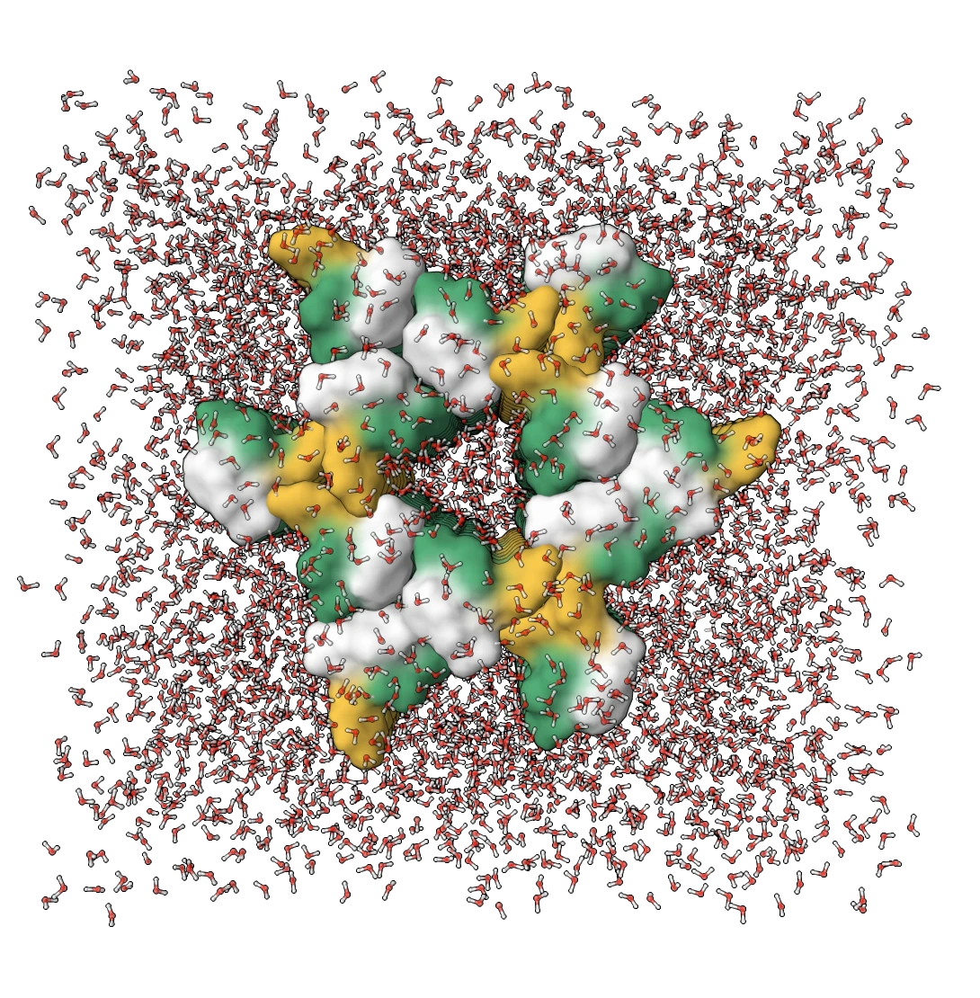 Tripeptide crystal at 50% relative humidity